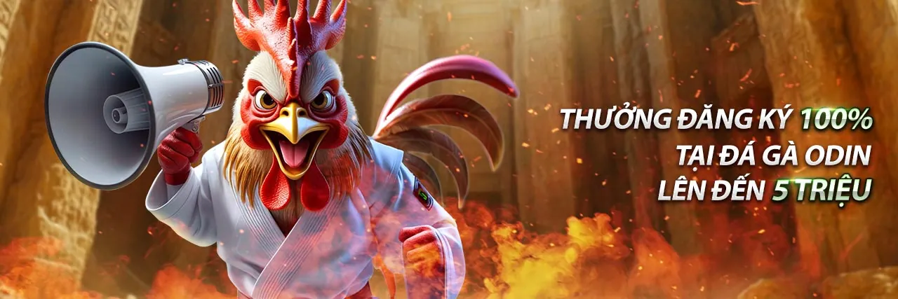 Hoàn Trả Thể Thao & Casino Cao Nhất